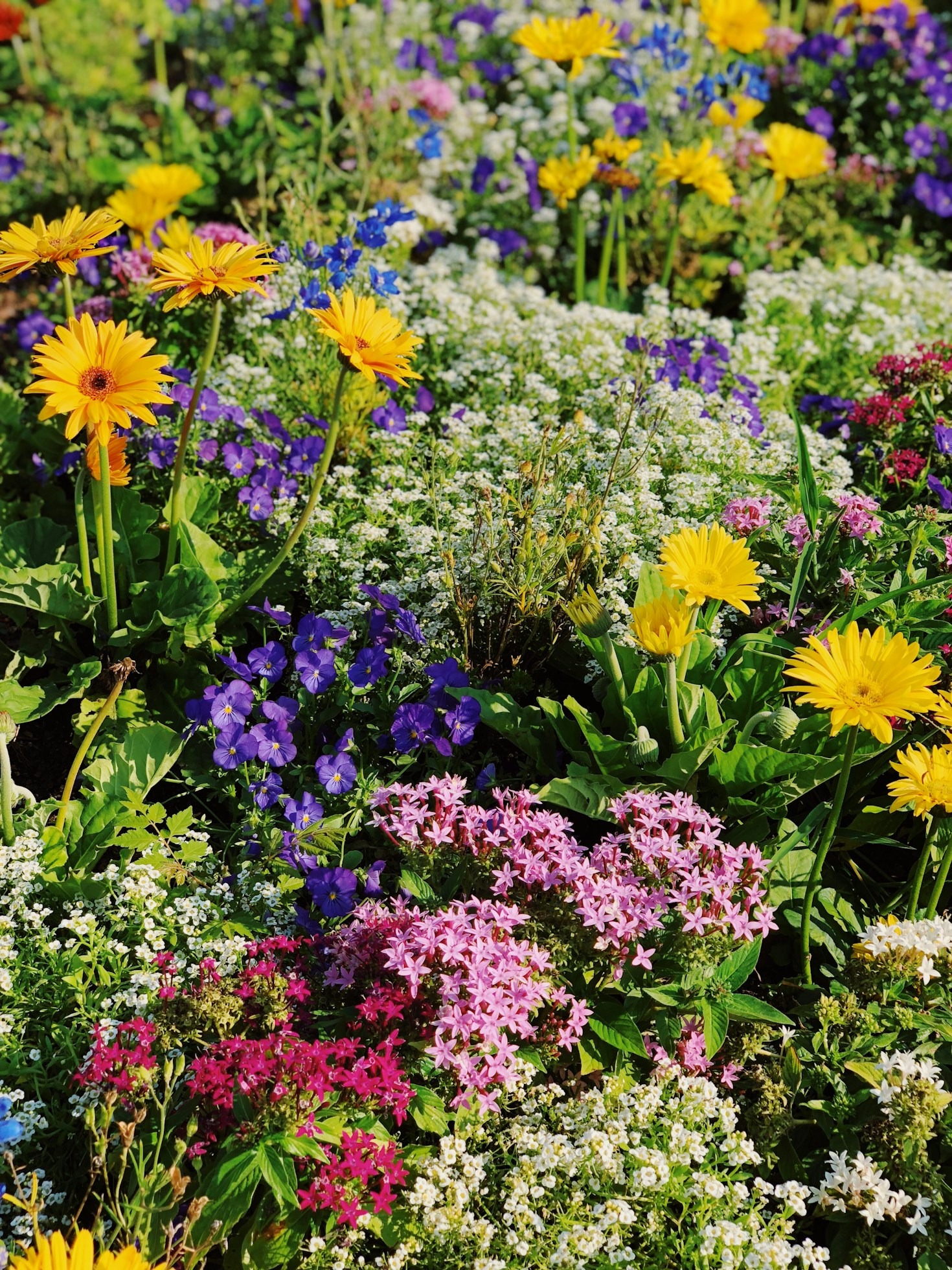 Die besten Gartentipps für den Frühling